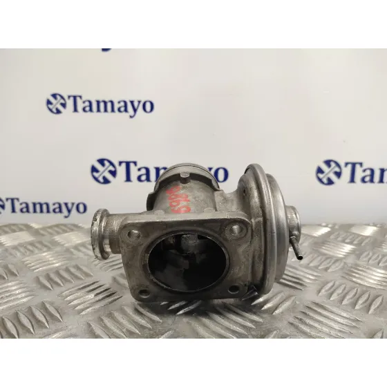 Valvula Egr para Bmw Serie 3 Berlina (E46)