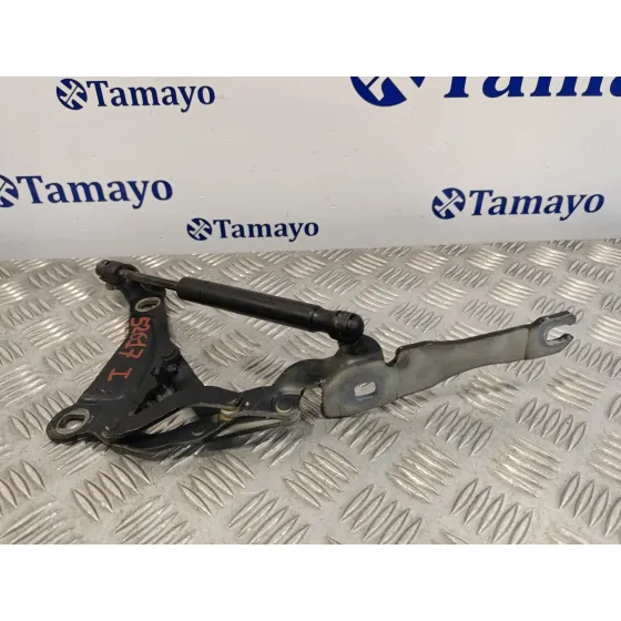 Visagra Capo para Mini Mini (R56)