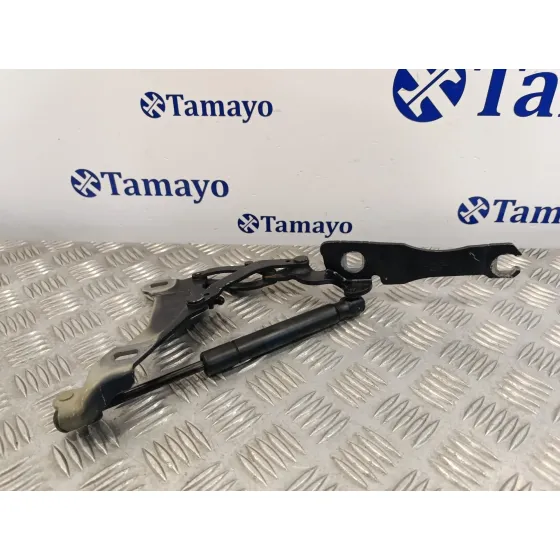 Visagra Capo para Mini Mini (R56)