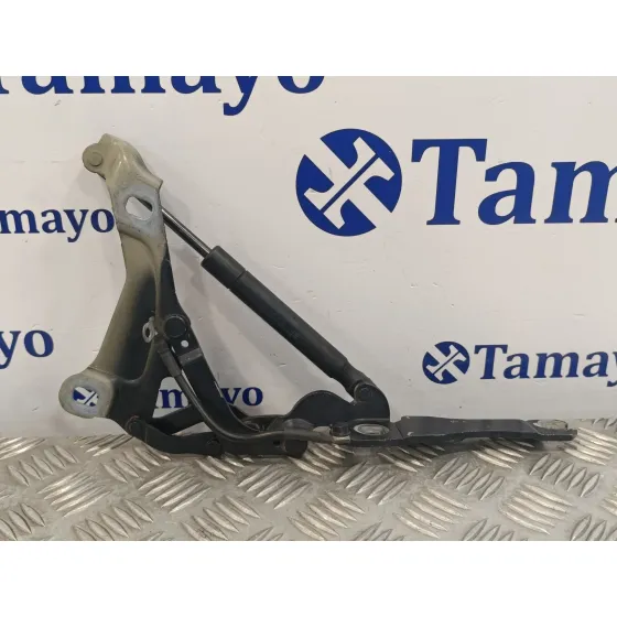 Visagra Capo para Mini Mini (R56)