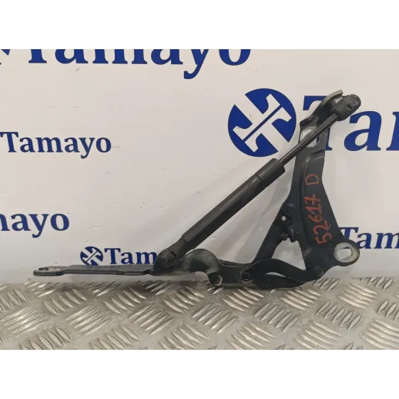 Visagra Capo para Mini Mini (R56)