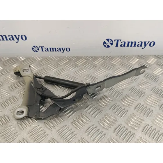 Visagra Capo para Mini Mini (R56)