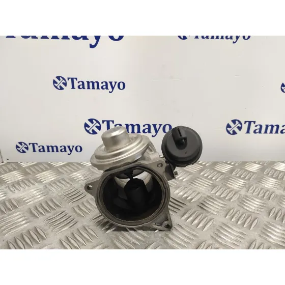 Valvula Egr para Volkswagen Touareg (7L6)