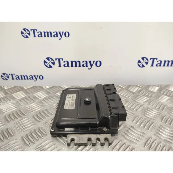 Centralita Motor Uce para Nissan Micra (K12E)