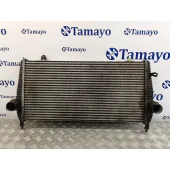 Intercooler para Peugeot 407 Coupe