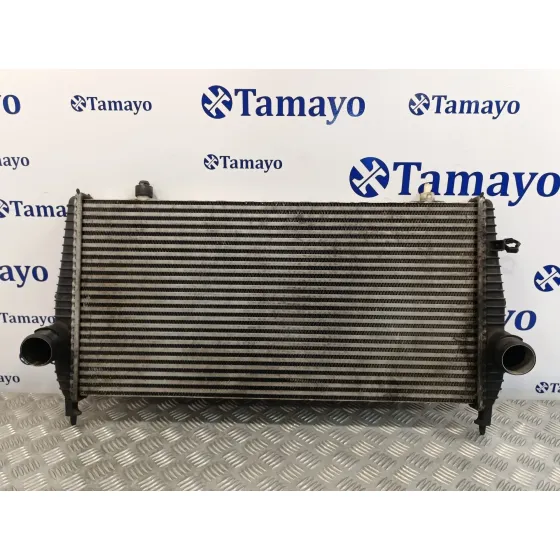 Intercooler para Peugeot 407 Coupe