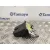 Cerradura Maletero / Porton para Seat Ibiza St (6J8)