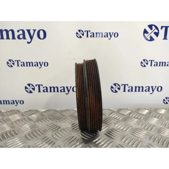 Polea Ciguenal para Chrysler Voyager (Rg)