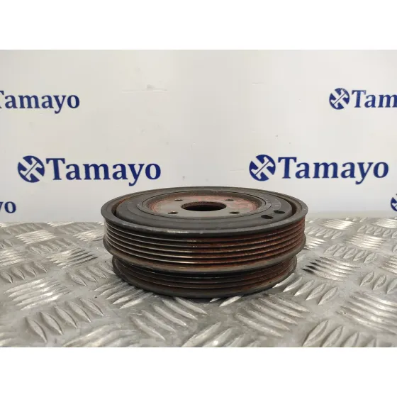 Polea Ciguenal para Chrysler Voyager (Rg)