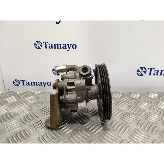 Bomba Servodireccion para Chrysler Voyager (Rg)