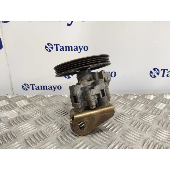 Bomba Servodireccion para Chrysler Voyager (Rg)