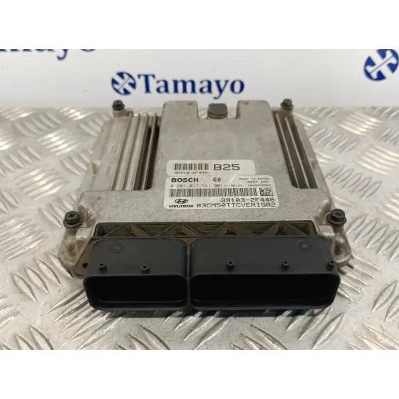 Centralita Motor Uce para Hyundai Santa Fe (Bm)