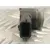 Sensor Aparcamiento Trasero para Renault Scenic Iii
