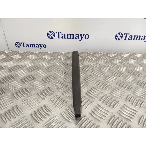 Brazo Limpia Trasero para Hyundai Santa Fe (Bm)