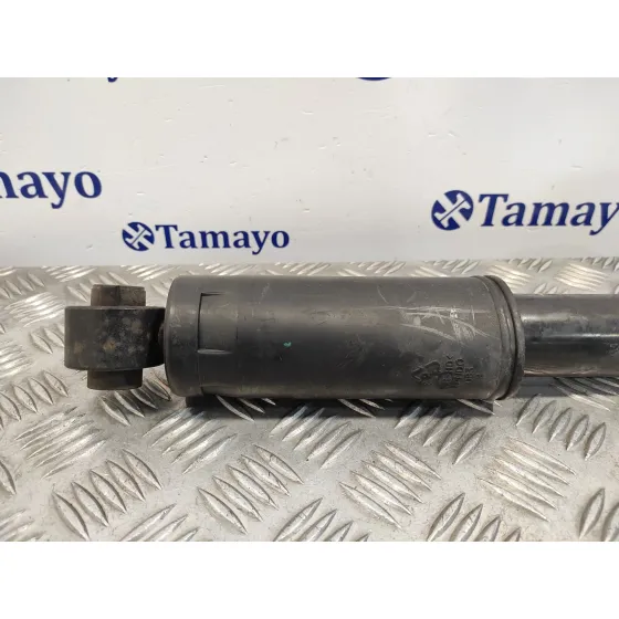 Amortiguador Trasero para Hyundai Santa Fe (Bm)