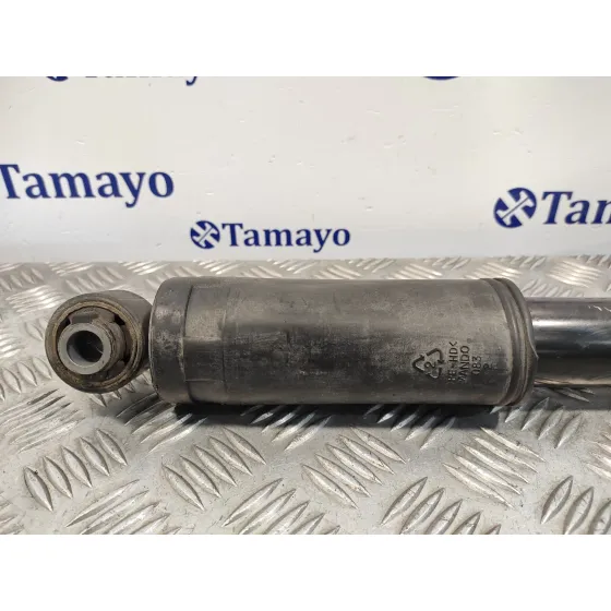 Amortiguador Trasero para Hyundai Santa Fe (Bm)