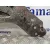 Brazo Suspension Inferior Delantero Derecho para Renault Trafic Caja Cerrada (Ab 4.01)