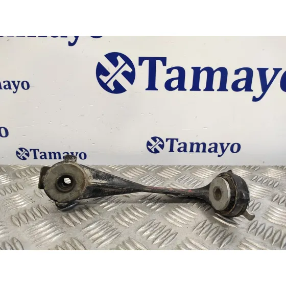 Soporte Brazo Suspension Delantero Izquierdo para Renault Trafic Caja Cerrada (Ab 4.01)
