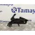 Sensor para Nissan Qashqai (J11)