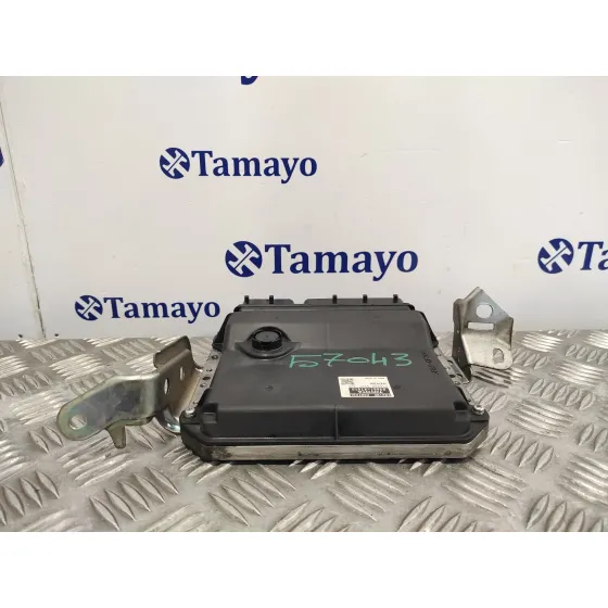 Centralita Motor Uce para Toyota Prius (Nhw30)