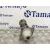 Motor Arranque para Suzuki Ignis Rm (Mh)