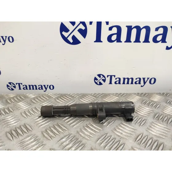 Bobina Encendido para Renault Laguna Ii (Bg0)