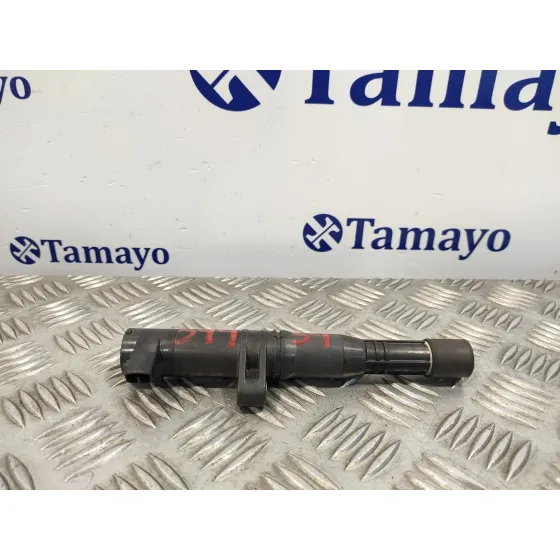 Bobina Encendido para Renault Laguna Ii (Bg0)
