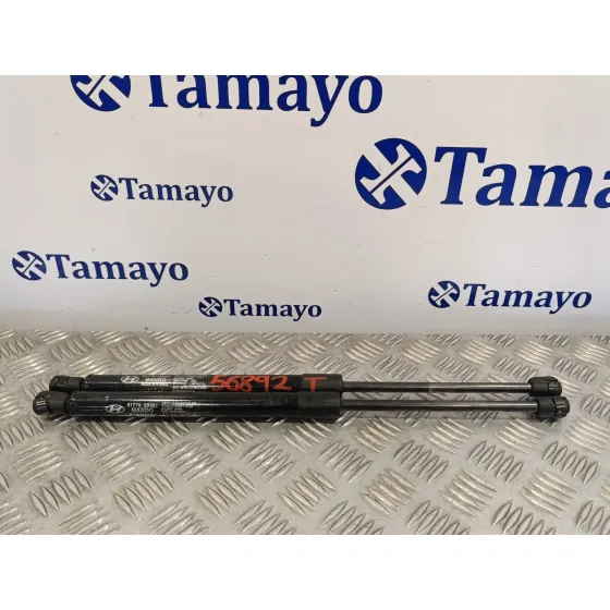 Amortiguadores Maletero / Porton para Hyundai Santa Fe (Bm)