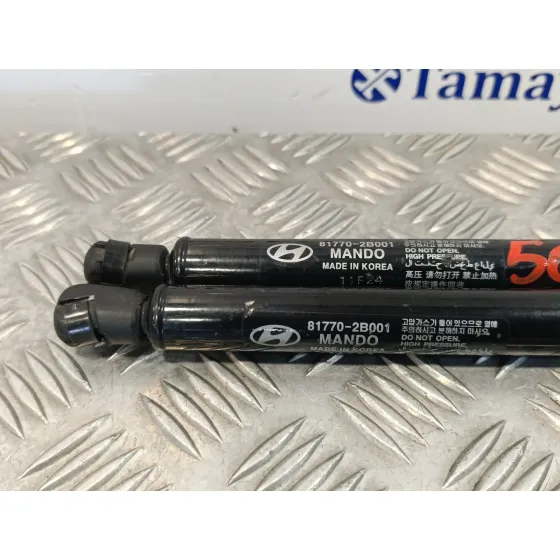Amortiguadores Maletero / Porton para Hyundai Santa Fe (Bm)