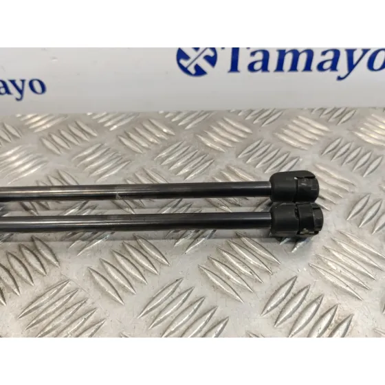 Amortiguadores Maletero / Porton para Hyundai Santa Fe (Bm)