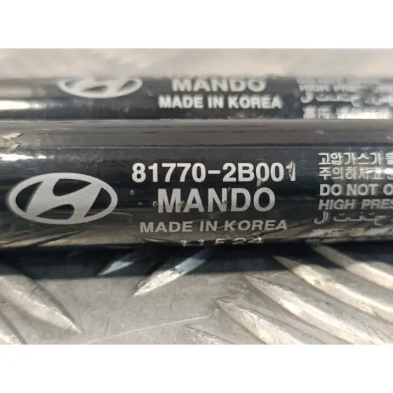Amortiguadores Maletero / Porton para Hyundai Santa Fe (Bm)