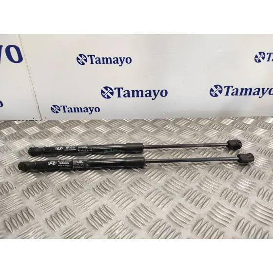 Amortiguadores Capo para Hyundai Santa Fe (Bm)