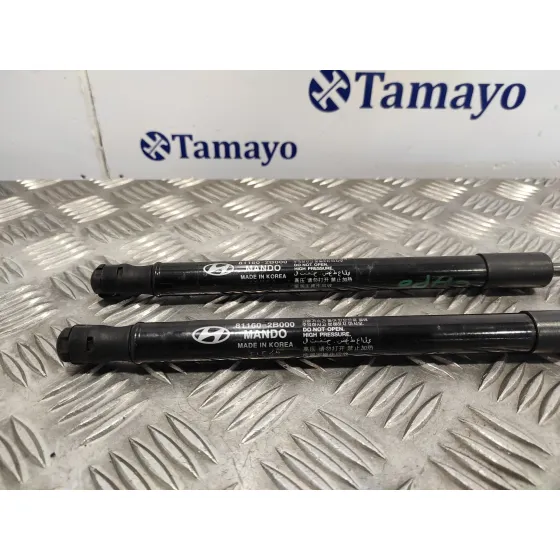 Amortiguadores Capo para Hyundai Santa Fe (Bm)