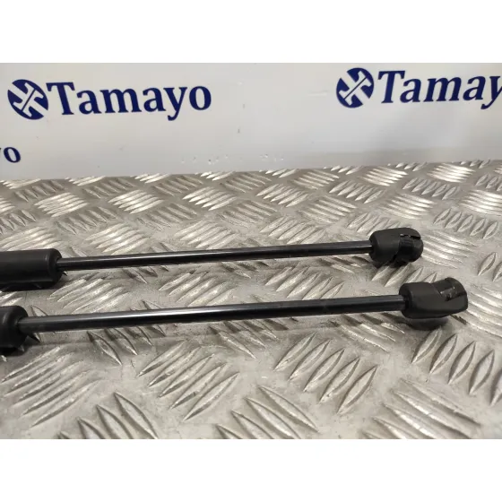 Amortiguadores Capo para Hyundai Santa Fe (Bm)