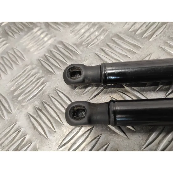 Amortiguadores Capo para Hyundai Santa Fe (Bm)