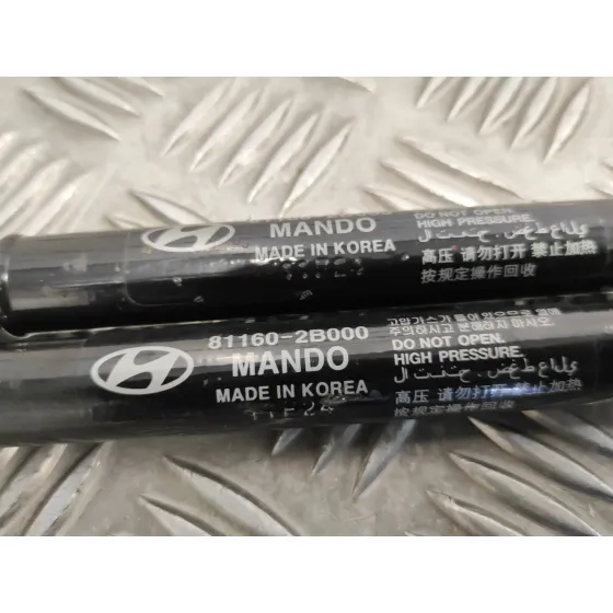 Amortiguadores Capo para Hyundai Santa Fe (Bm)