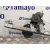 Elevalunas Delantero Derecho para Dacia Sandero