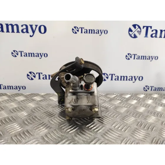 Bomba Servodireccion para Nissan Almera (N16/E)