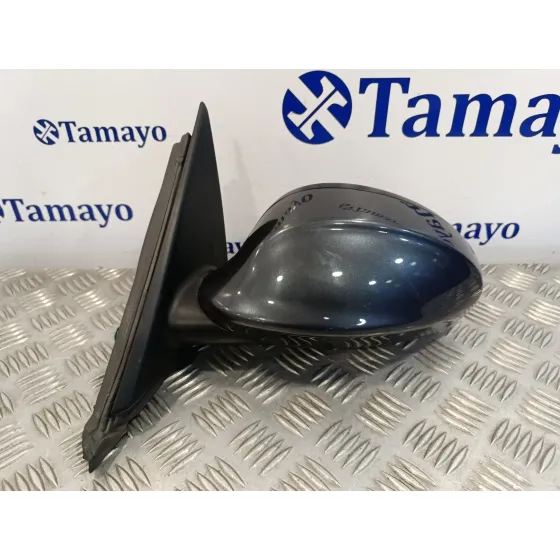 Retrovisor Izquierdo para Bmw Serie 3 Berlina (E90)