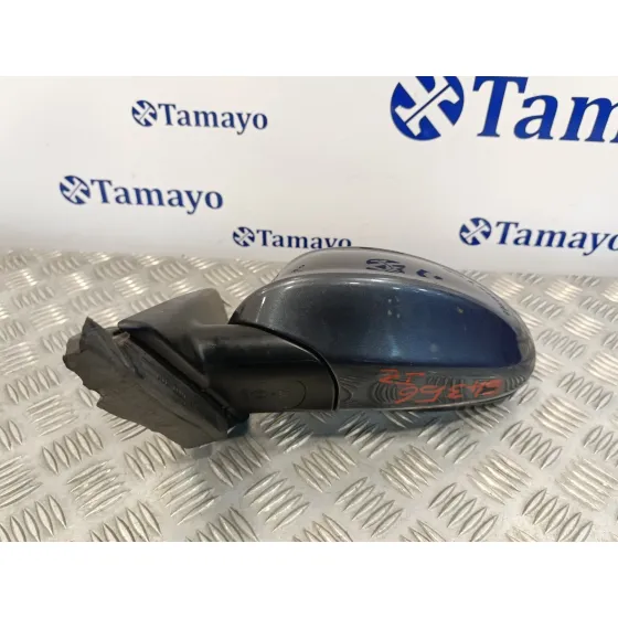 Retrovisor Izquierdo para Bmw Serie 3 Berlina (E90)