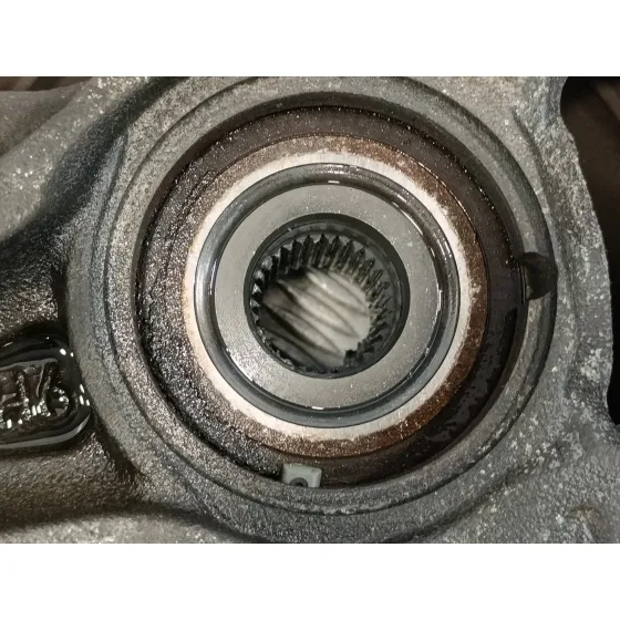 Mangueta Delantera Izquierda para Audi Q7 (4L)