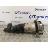 Amortiguador Trasero Derecho para Audi Q7 (4L)