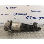 Amortiguador Trasero Izquierdo para Audi Q7 (4L)