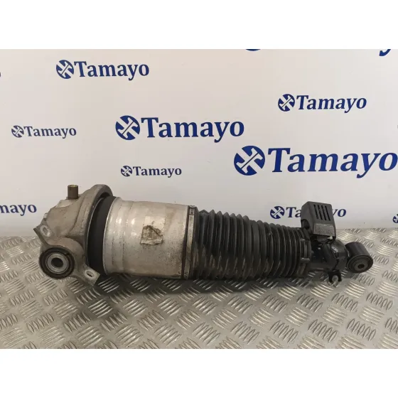 Amortiguador Trasero Izquierdo para Audi Q7 (4L)