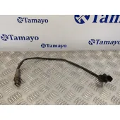 Sonda Lambda para Audi Q7 (4L)