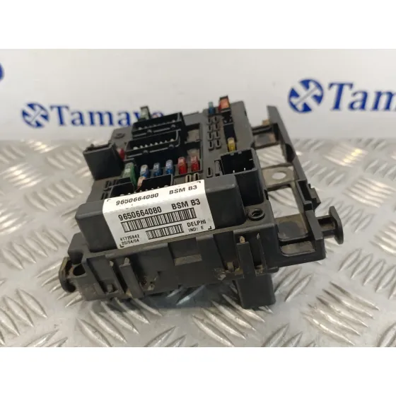 Caja Reles / Fusibles para Peugeot 307 Break / Sw (S1)