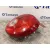Piloto Trasero Derecho para Chevrolet Matiz
