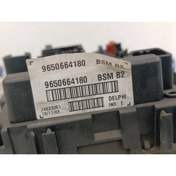 Caja Reles / Fusibles para Peugeot 307 (S1)