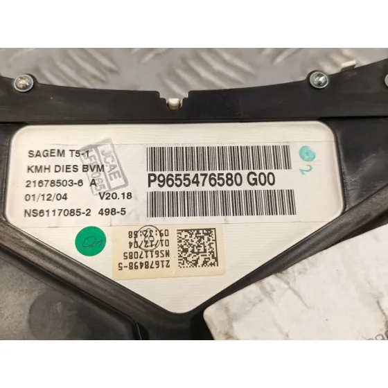 Cuadro Instrumentos para Peugeot 307 Break / Sw (S1)