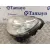 Faro Izquierdo para Mercedes-Benz Clase B (W245)